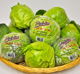 Pablo's Produce, Inc. | Oxnard, California | Green Cabbage
